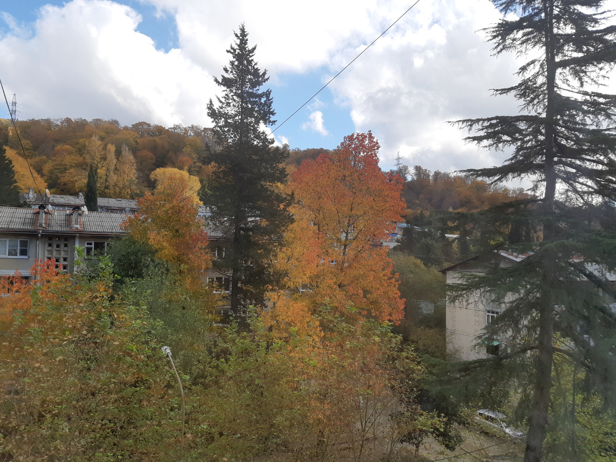 Вот такая картина была из моего окна еще дней десять назад