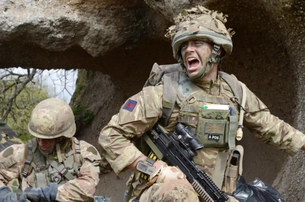    Карнс: в случае конфликта с РФ армию Британии уничтожат за 6-12 месяцев