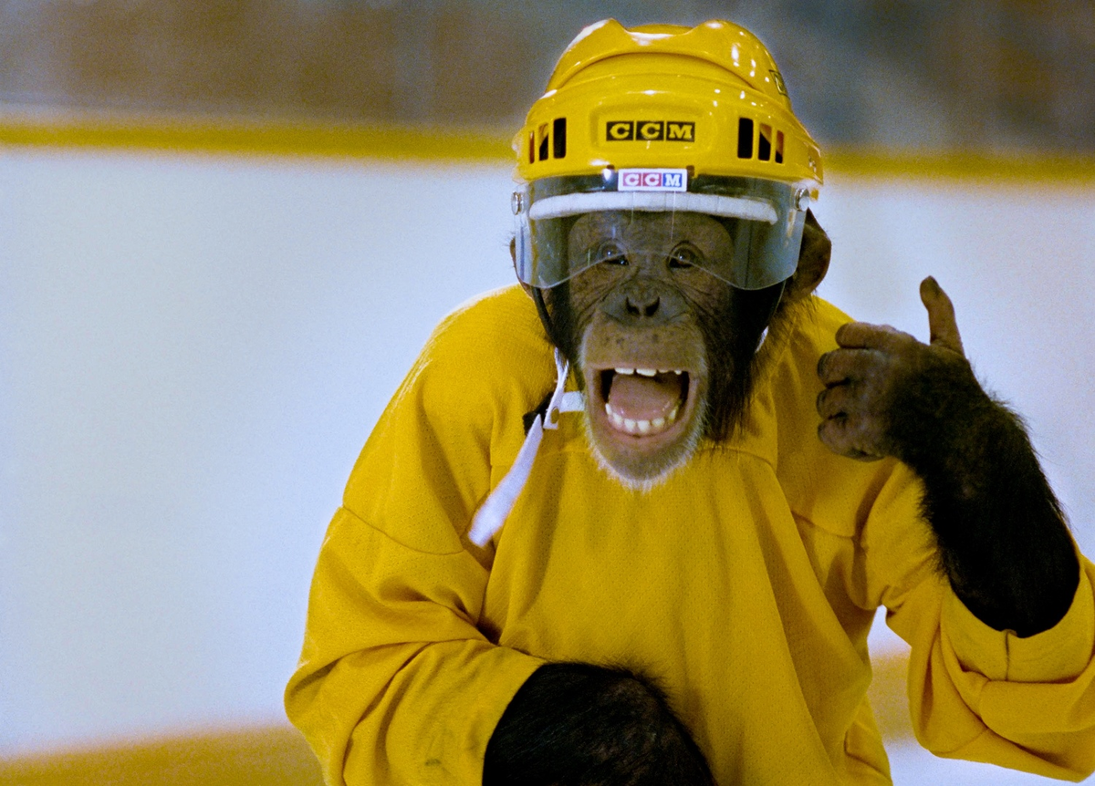 «Шайбу, шайбу!» (2000), режиссер – Роберт Винс