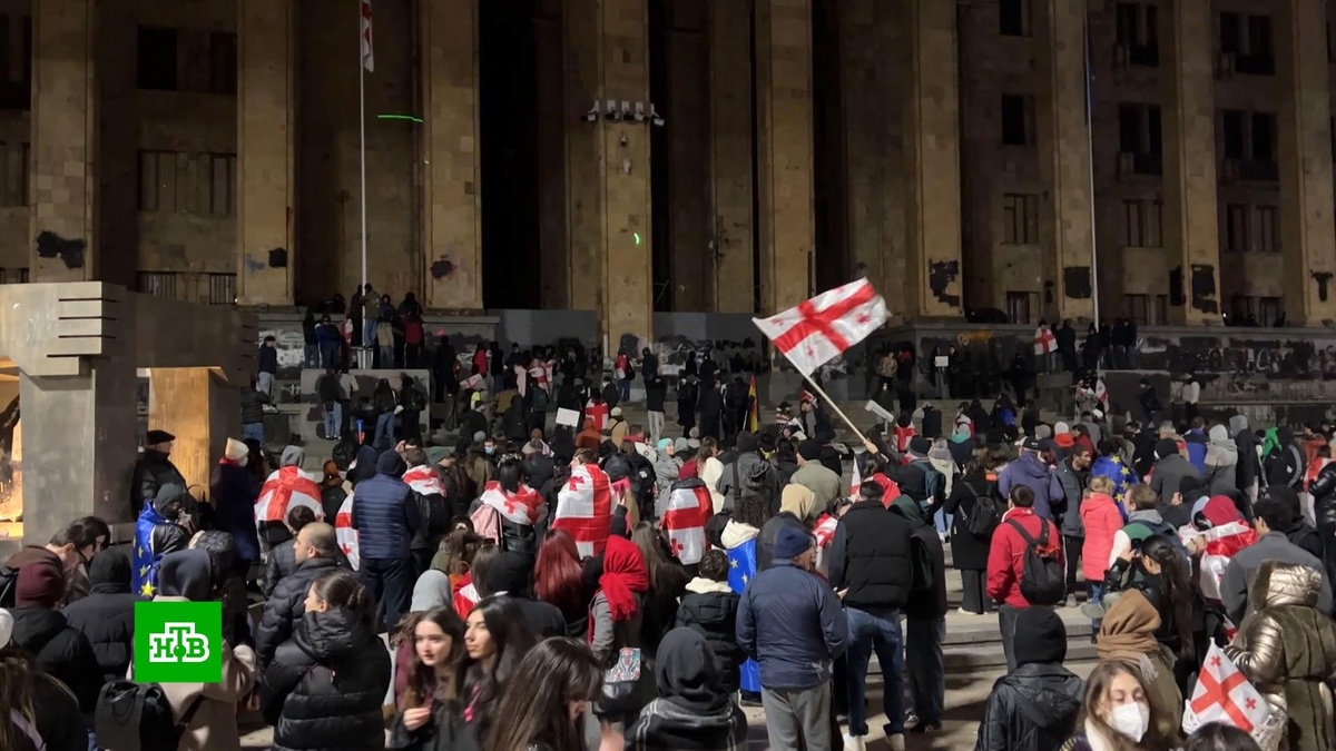    Почему протестующие в Грузии хотят в Евросоюз и чем их не устраивает правящая партия