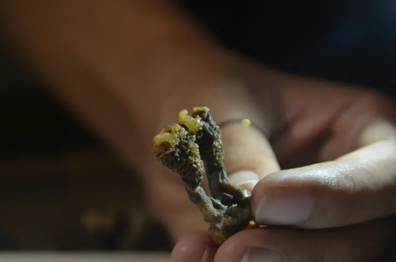 Угадайте, детишки, что это