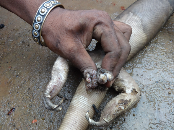 Зачем природе вообще понадобилось так делать?