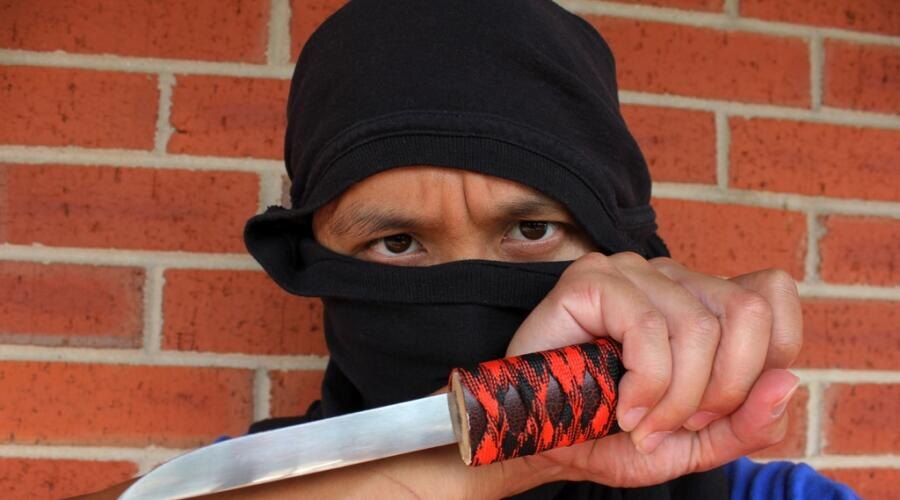    Что нам известно о ниндзя и ниндзюцу? Фото: по лицензии PxHere.com