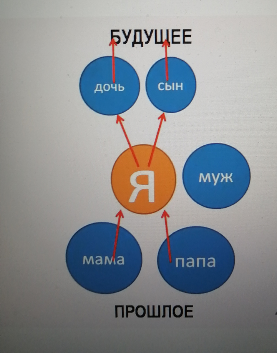 Правильный порядок распределения членов семьи 