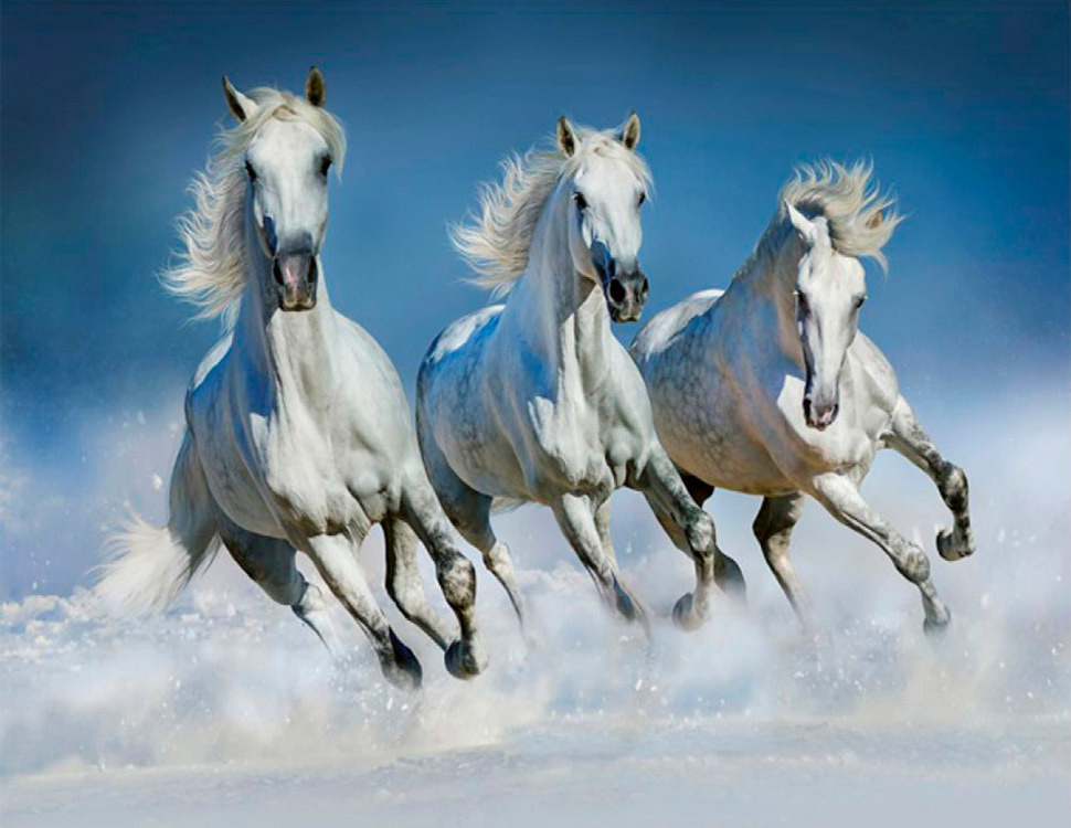 За ними мчит, сверкая гривами,
Табун из белых лошадей.

