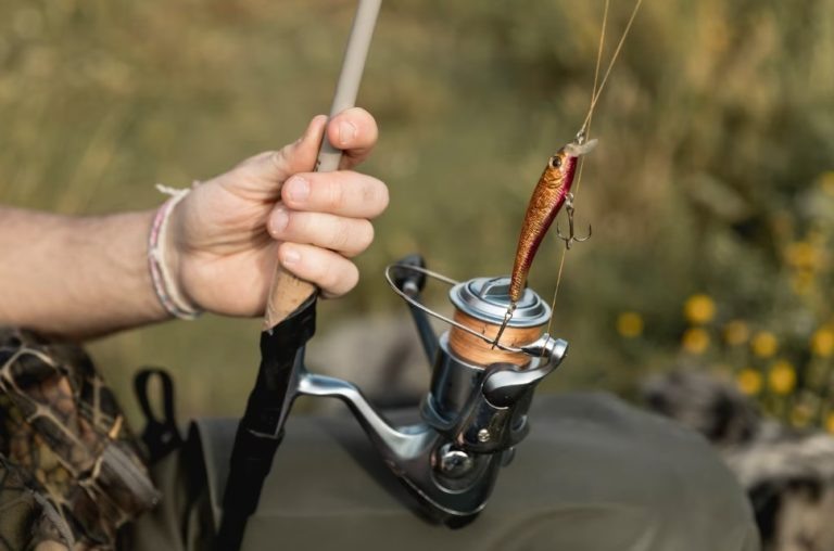    Фото: freepik.com/freepik Екатерина Шахнина