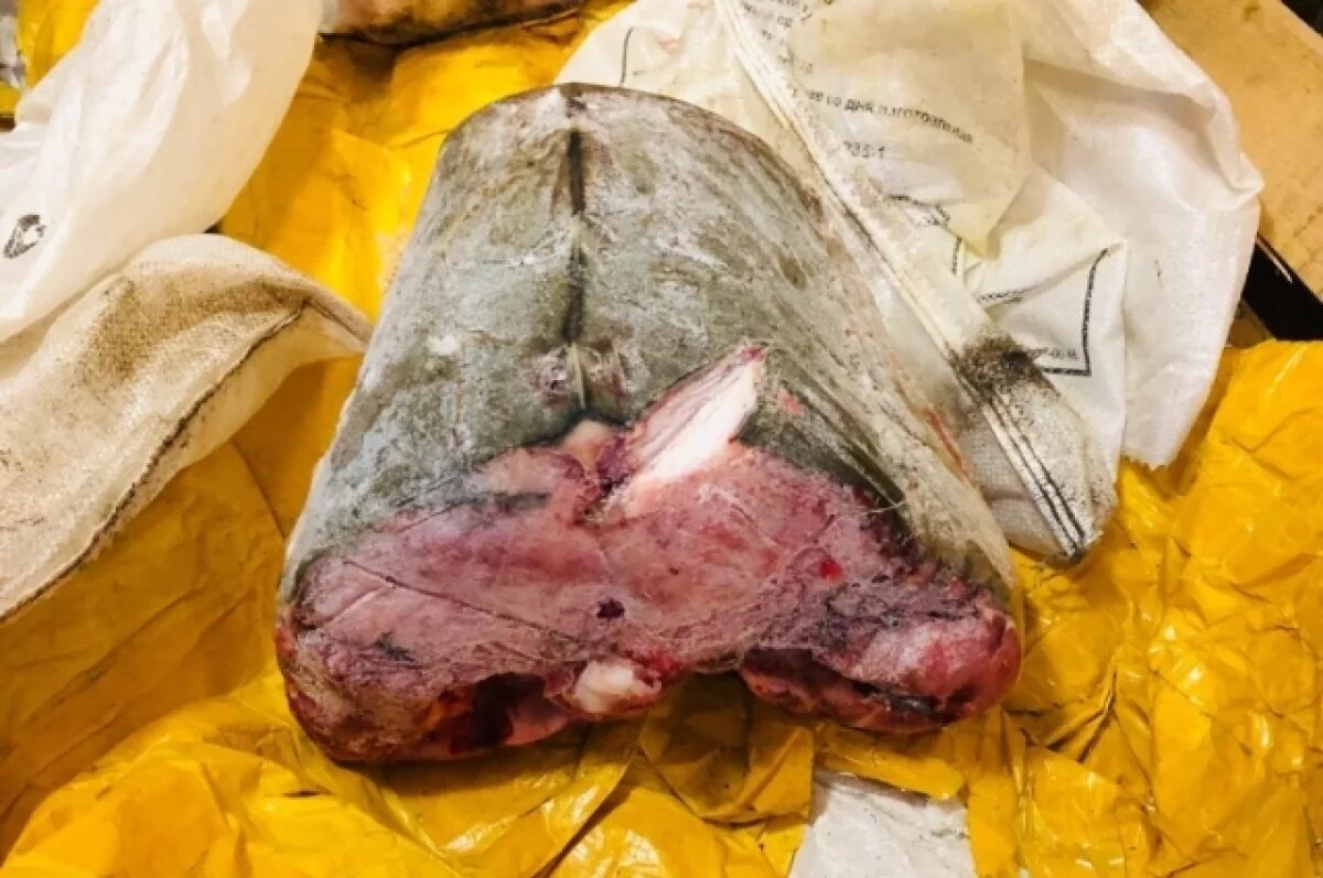    103 кг редкой рыбы стали уликами в деле двух женщин из Хабаровского края