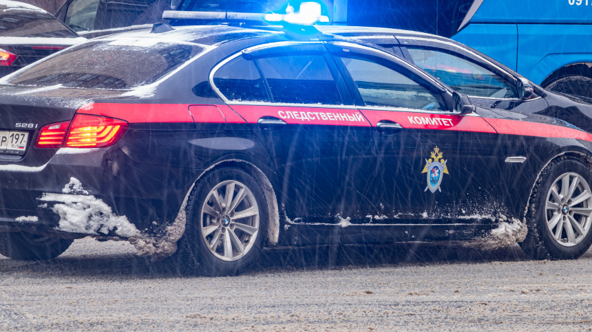    Фото: ИЗВЕСТИЯ/Константин Кокошкин; 5-tv.ru