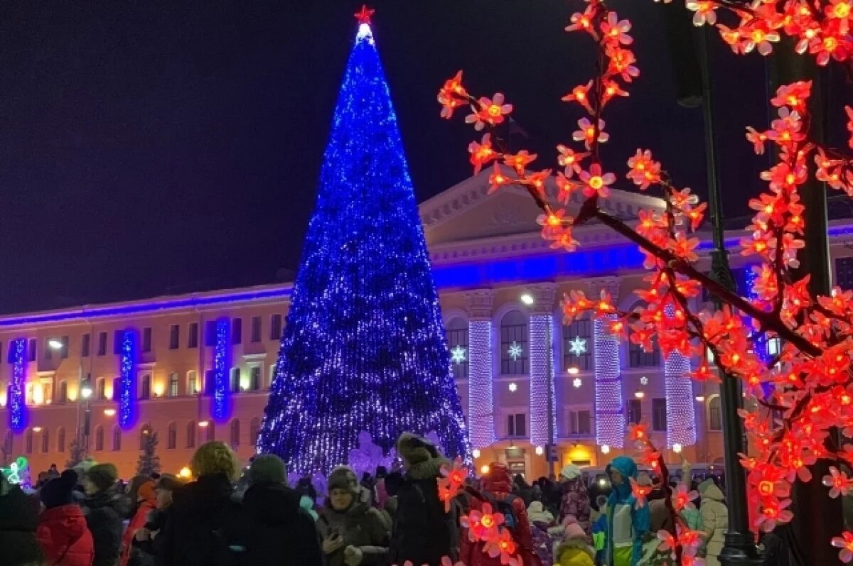    Концерт и зажжение главной городской елки пройдет в Томске 14 декабря