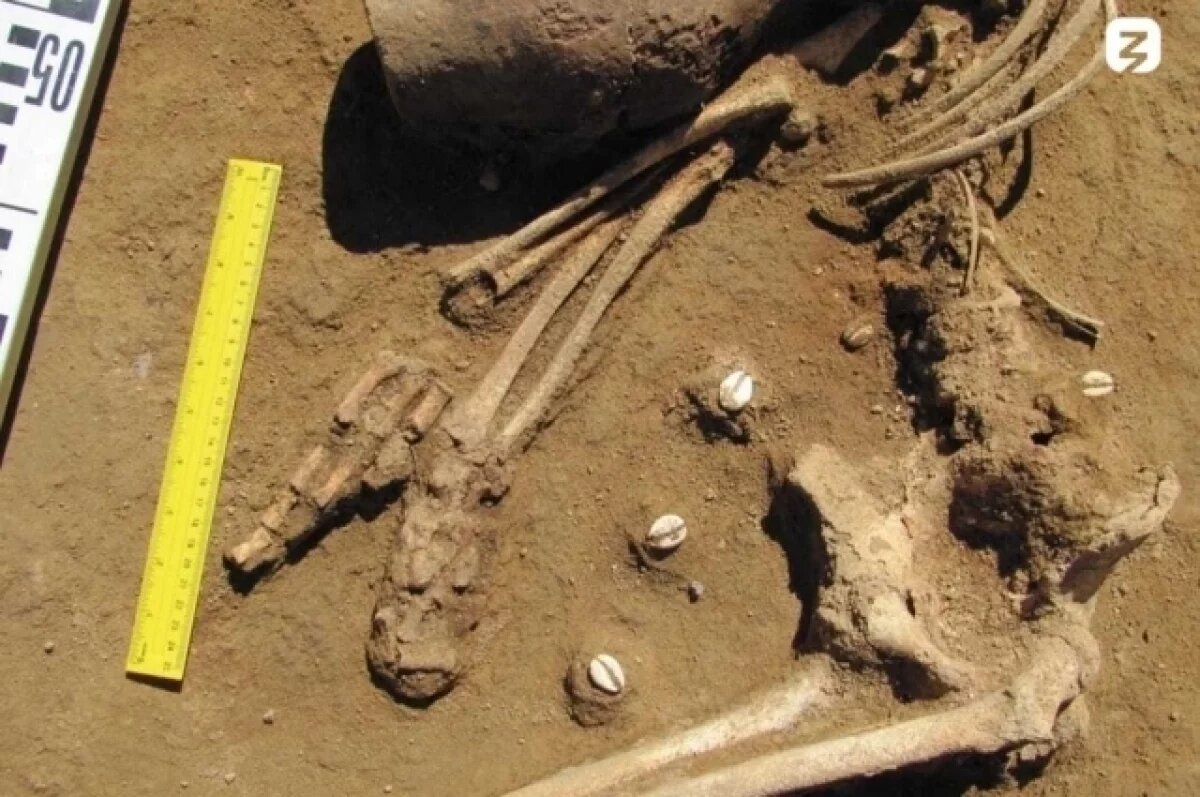    На территорию Алтайского края в эпоху раннего железа (VI – II вв. до н.э.) артефакты попали по торговым путям с территории Хакасии и Тувы.