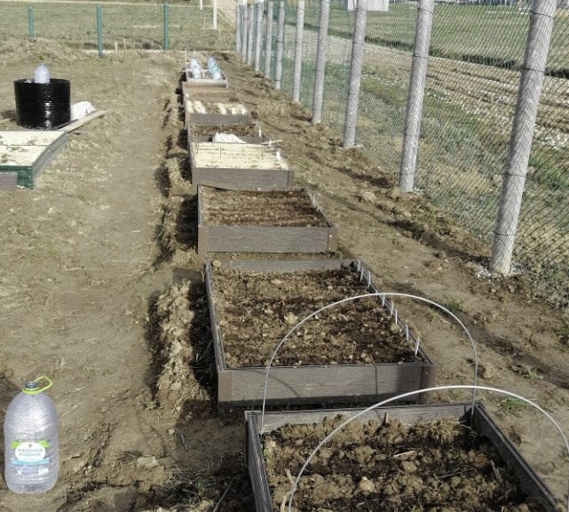 получилось 11 грядок.