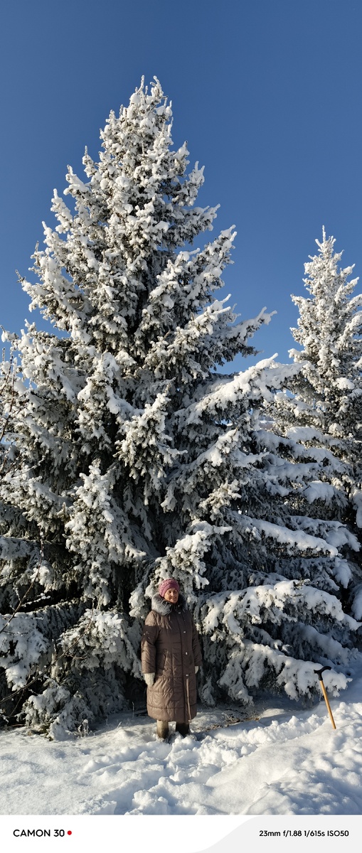 Фото от декабря 2024 года.