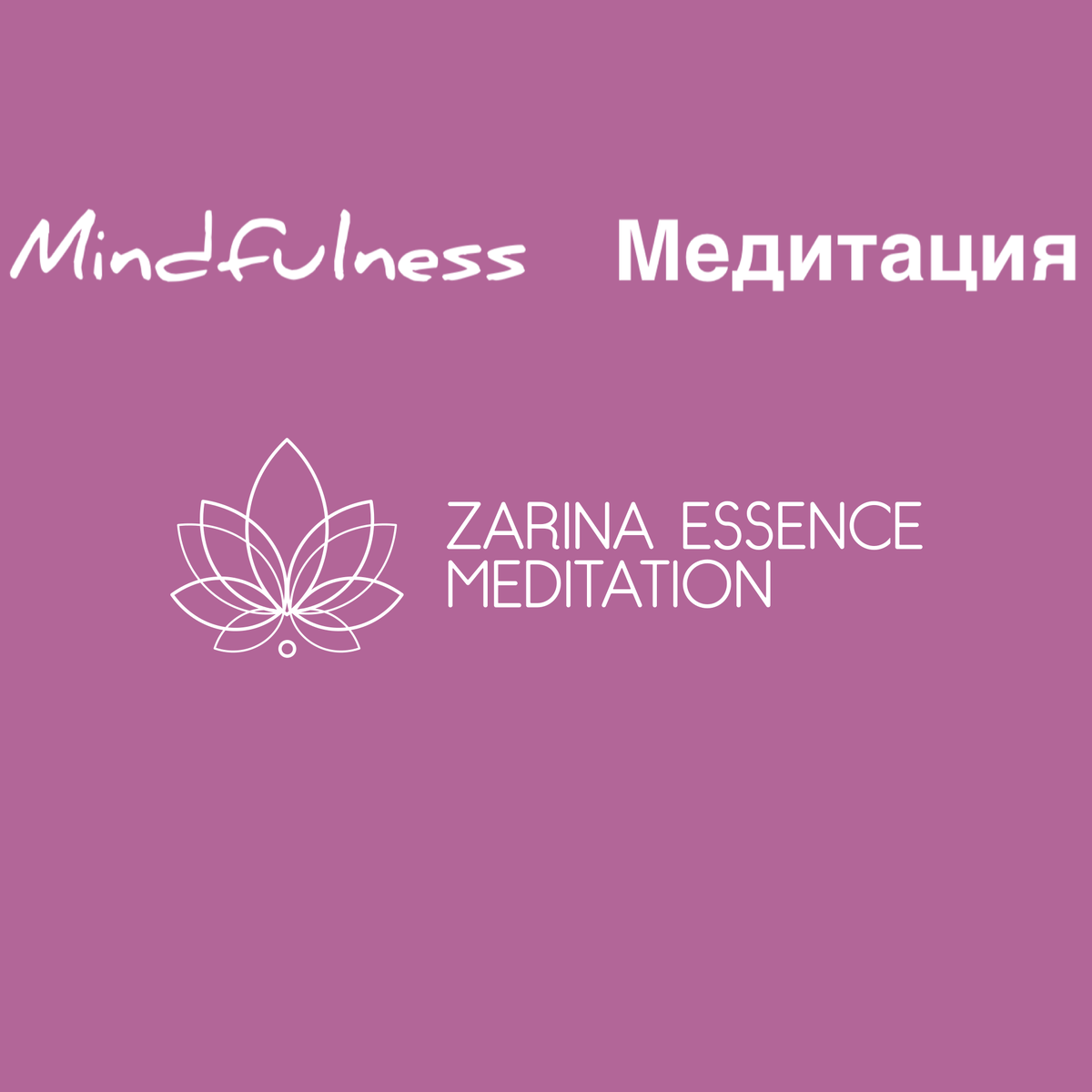 Медитация осознанности инструмент для раскрытия своего потенциала в моменте, здесь и сейчас.