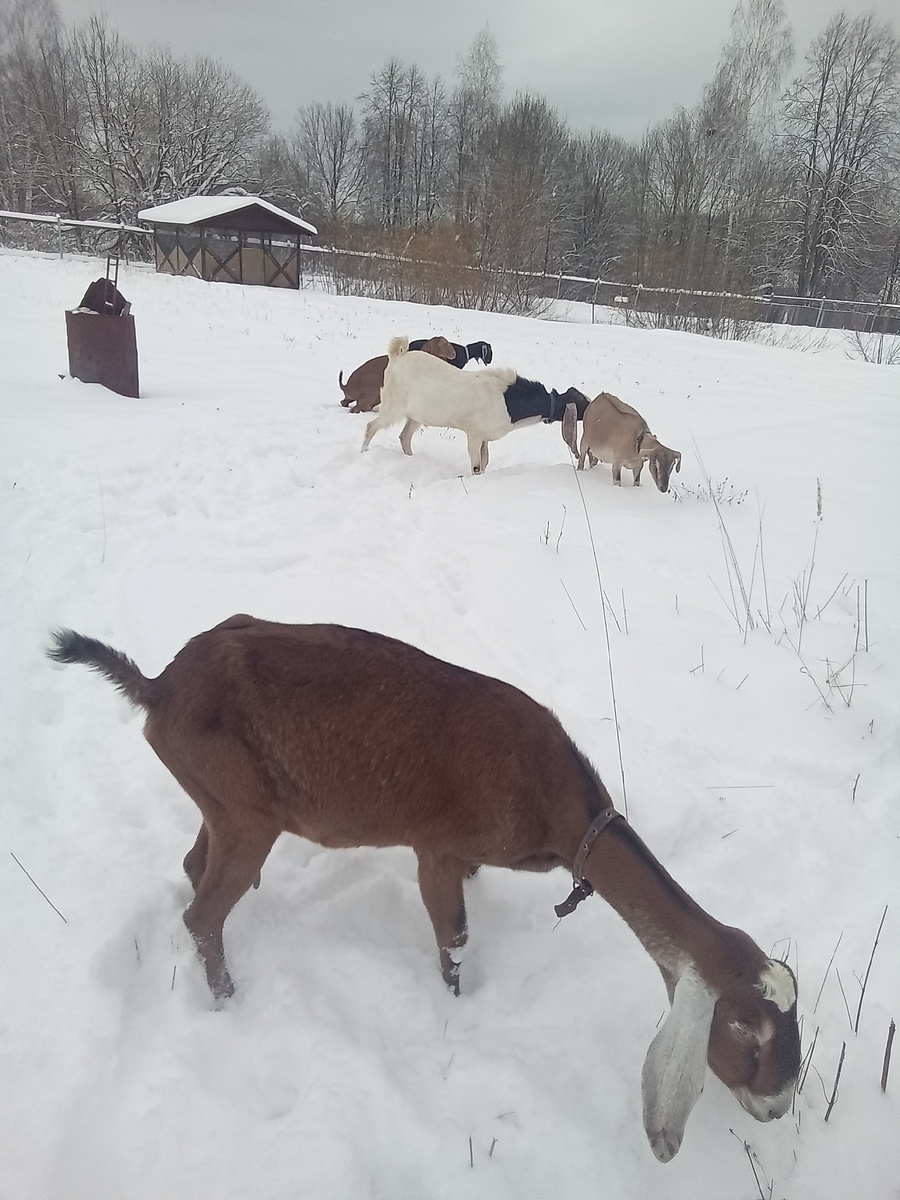 Фото автора.