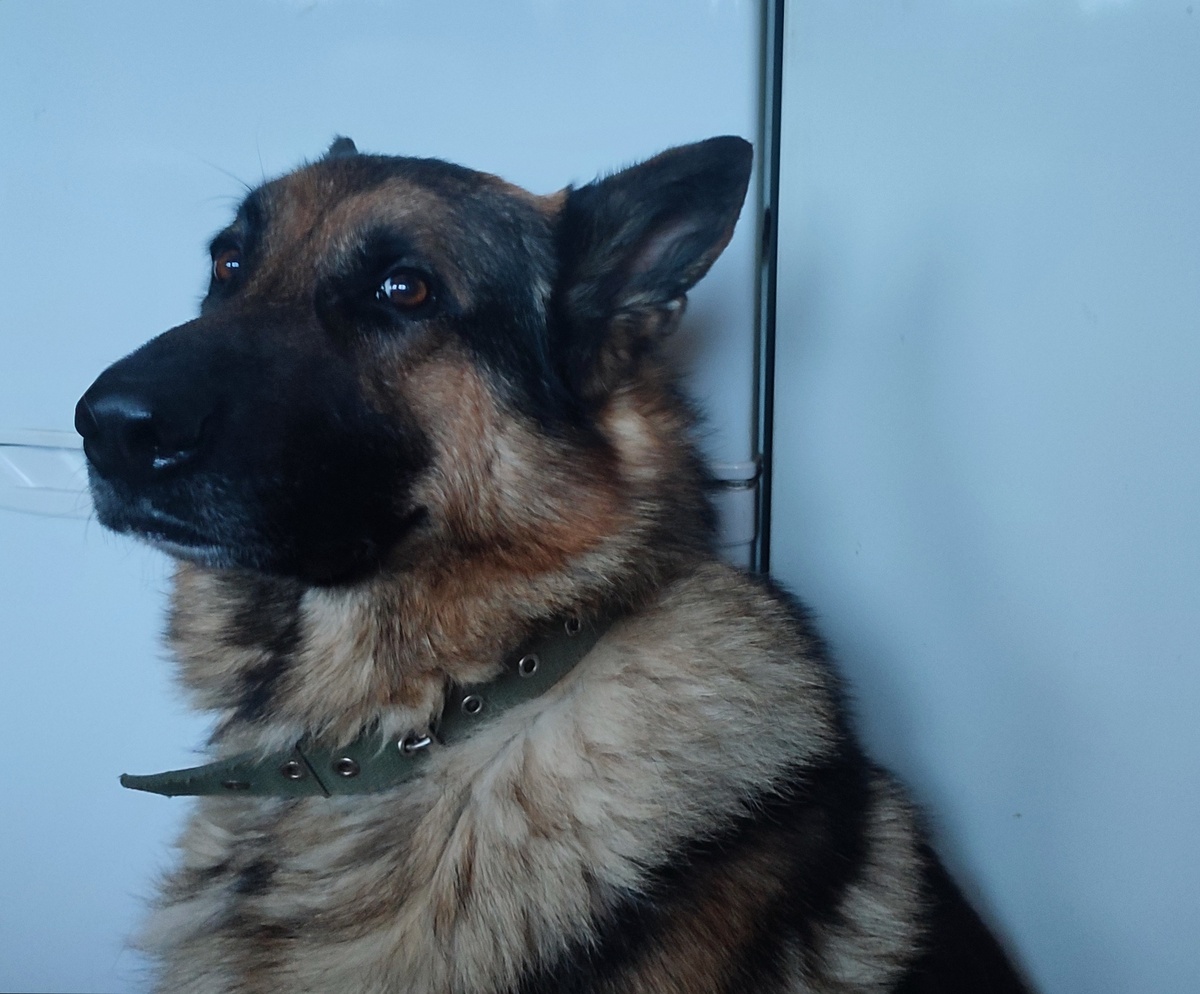 ЭХ ВЫ... а я так надеялся. 