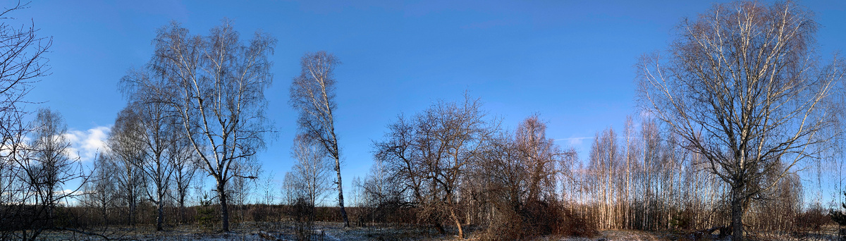 панорама автора