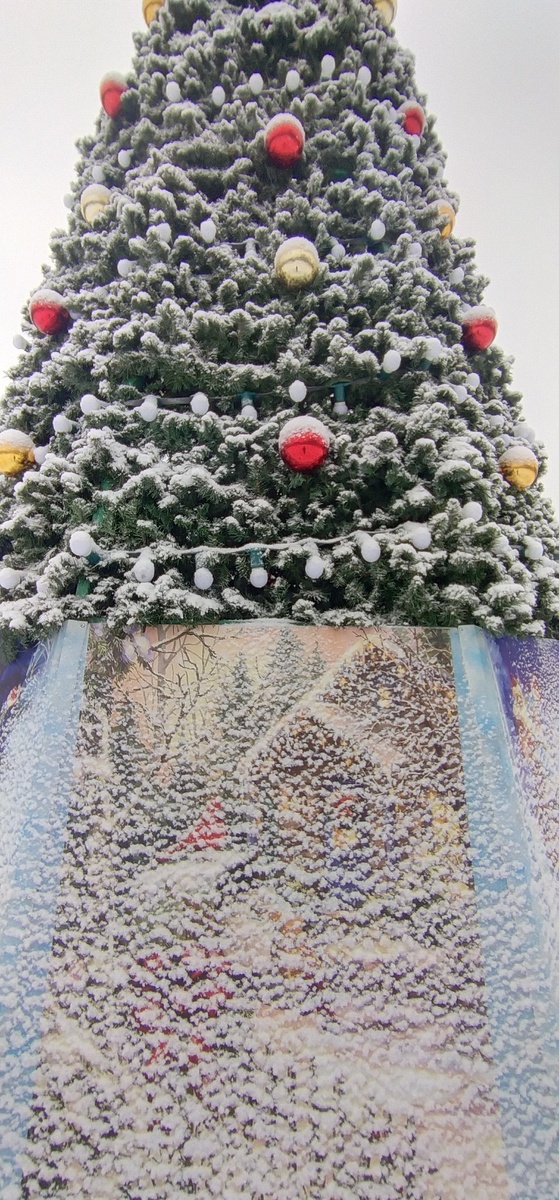 Личное фото