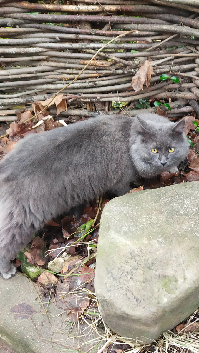 Личное фото