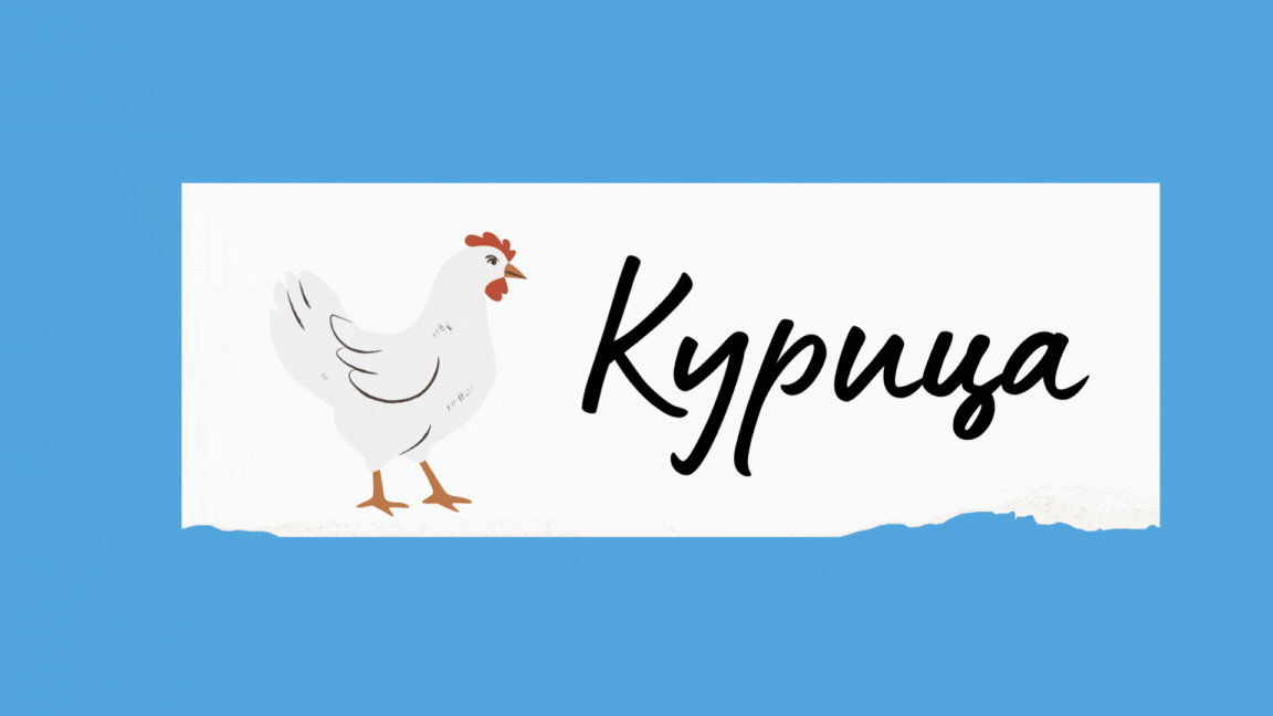 Курица - Курац