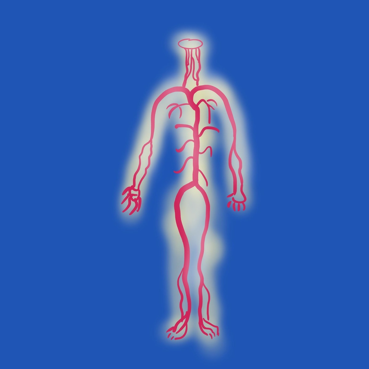 Много всяких артерий