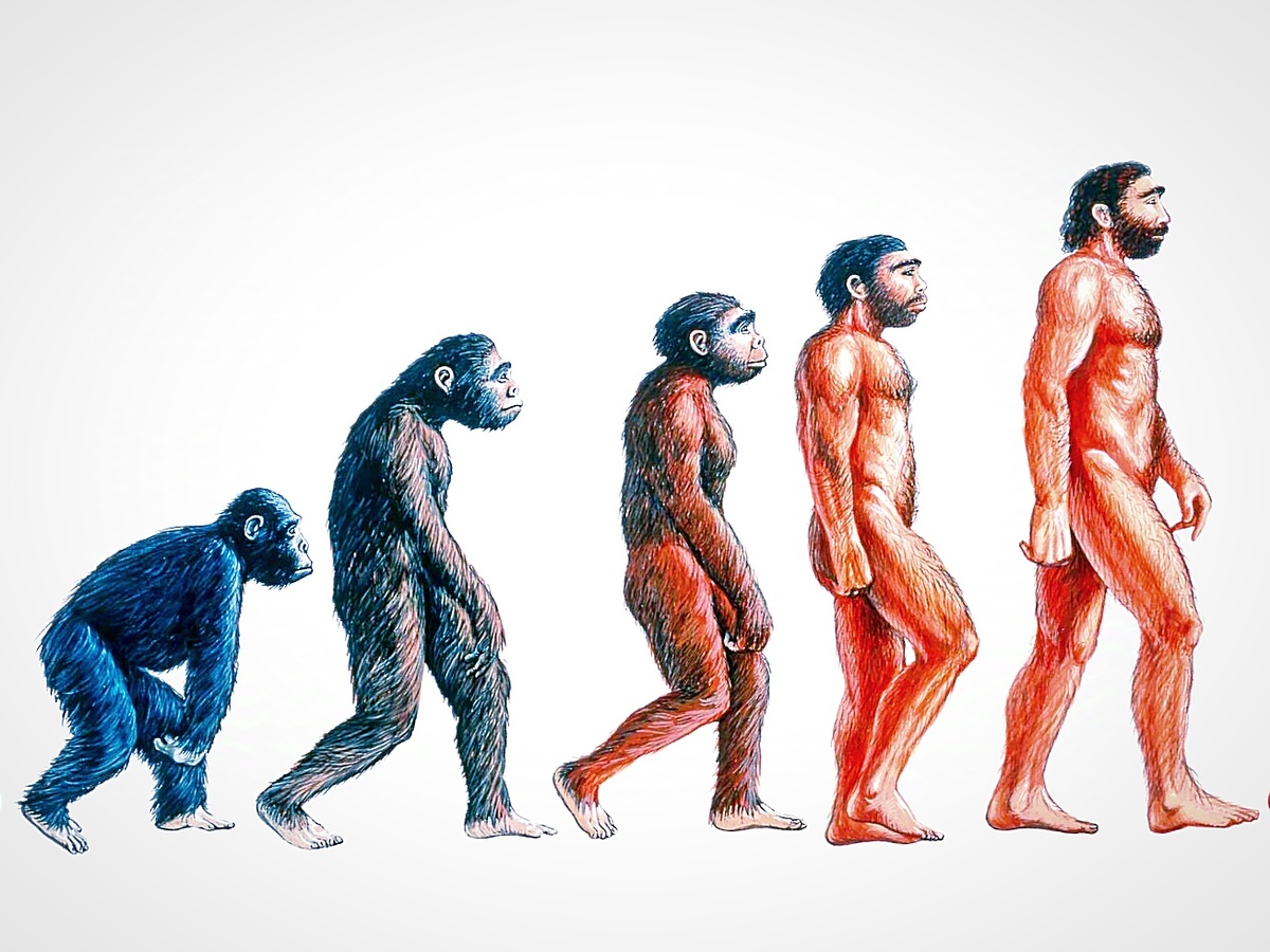 Доказательство того, что человек - обычное млекопитающее.