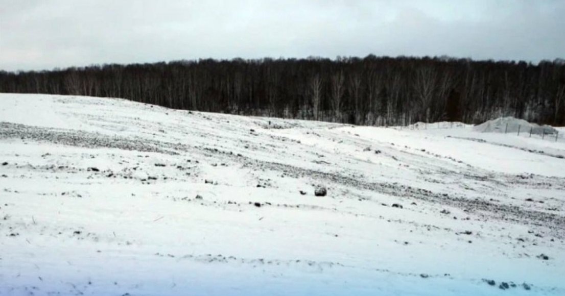    Фото: Правительство Новосибирской области