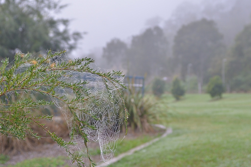 Кадр, демонстрирующий сонное утро, здесь и далее фото из домашнего архива