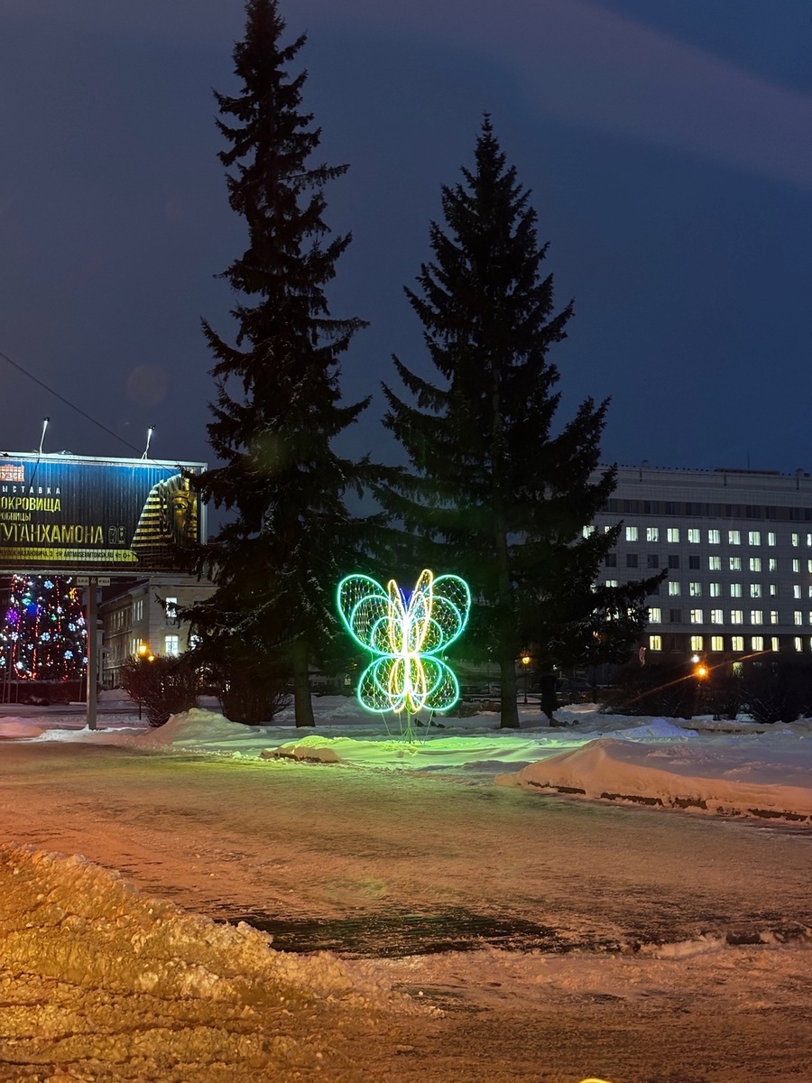 Вчера сделала фото