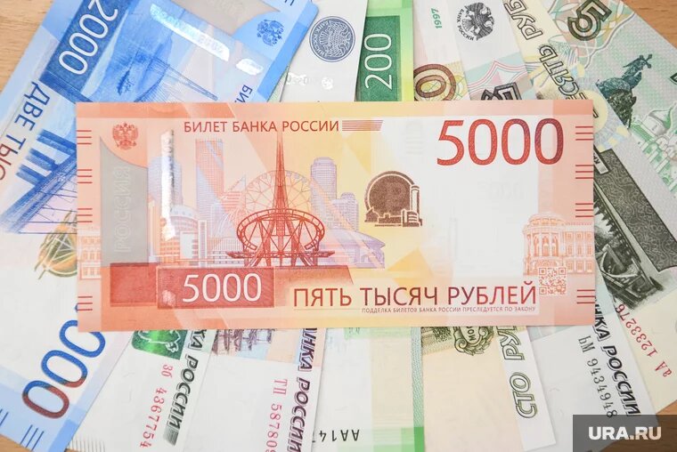 В Госдуме предложили выплатить семьям по 10 тысяч рублей перед Новым годом. Фото: Владимир Жабриков © URA.RU