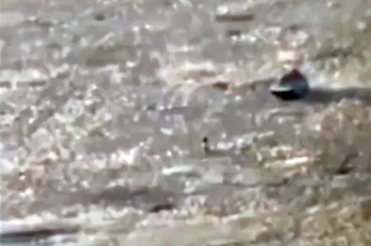    Наш терминатор на «велике» ехал по минным полям.