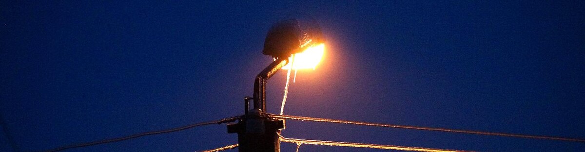    Фото: Сергей Егоров