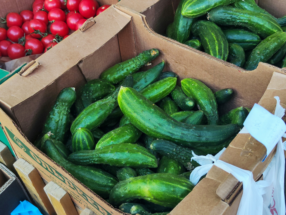 В магазинах подорожали практически все основные продукты, но ценовые рекорды бьют огурцы.  Фото: ФедералПресс / Ксения Кобалия