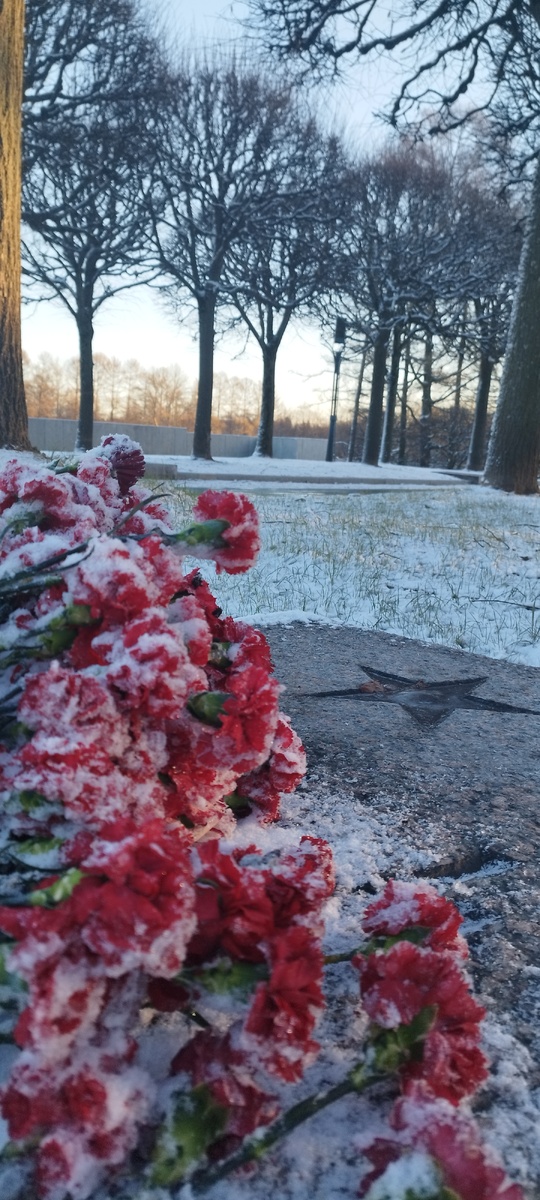 Наконец-то снег. И хоть и морозно, но гораздо более радостно) 