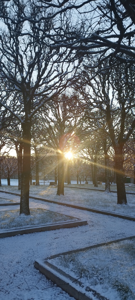 И солнышко нас вчера побаловало.
