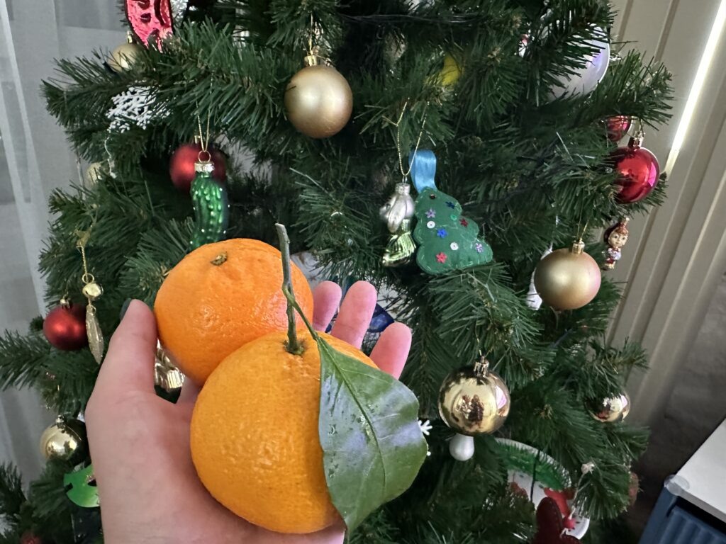    Фото: В курсе.ру \ Катерина Заякина Алена Калашникова