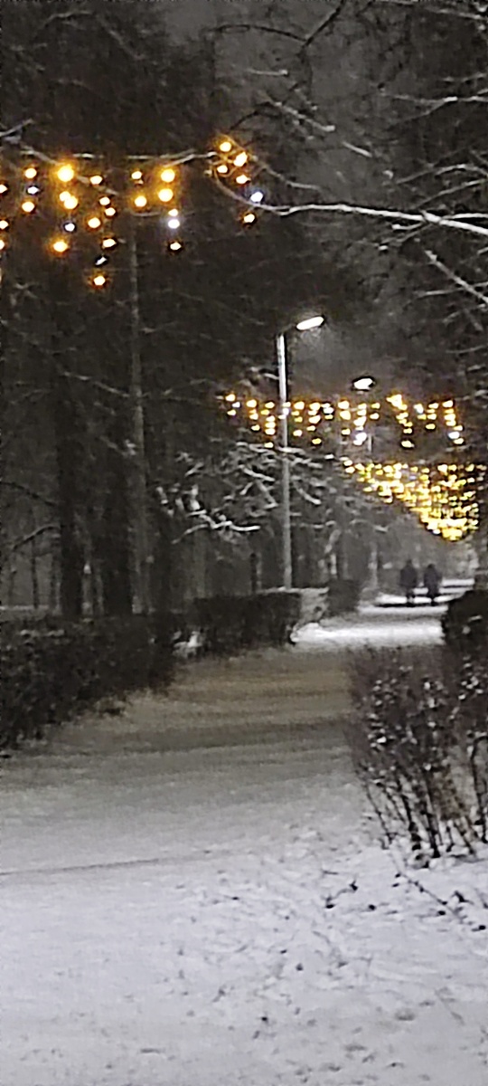 Фото автора 