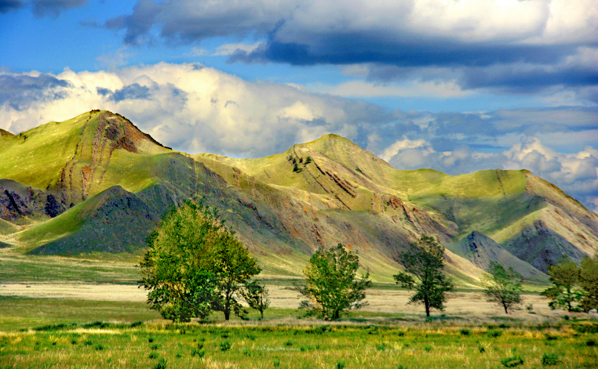 Фотография, стихотворение Василия Глуцкого