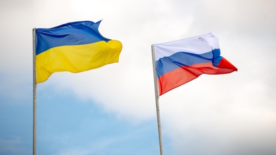    Украина планирует объявить о готовности к переговорам Татьяна Сидорова