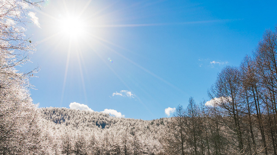     Источник: здесь и далее freepik.com