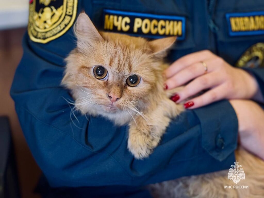    Фото: ГУ МЧС по Пермскому краю Ольга Гилёва