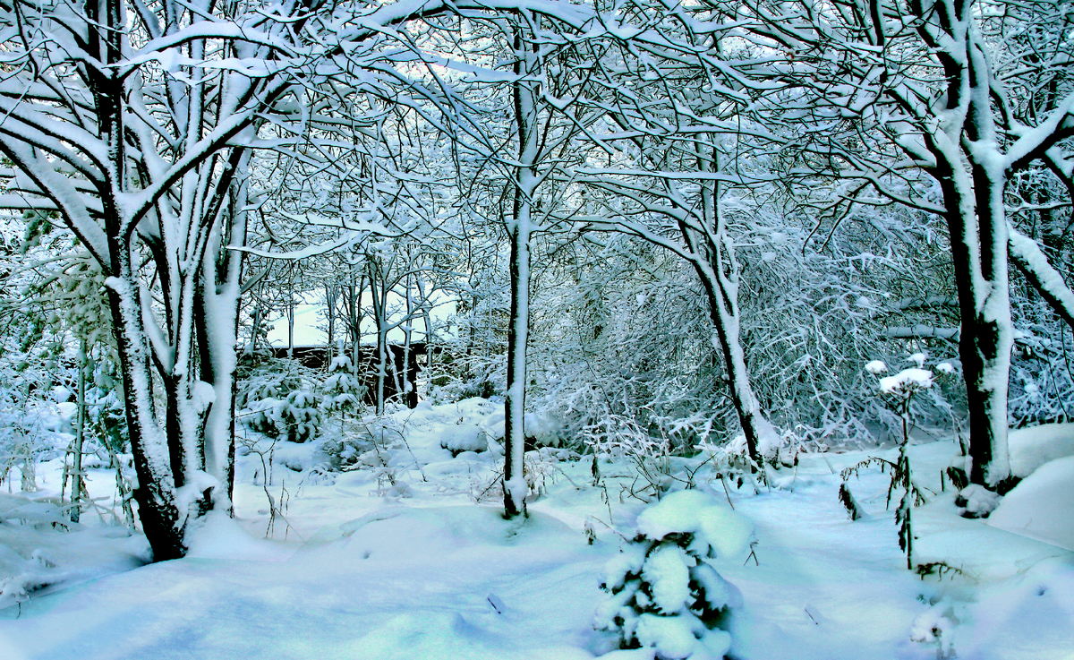 Фотография, стихотворение Василия Глуцкого