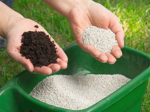 Разработано sezon-dacha.ru. Источник фото: https://sezon-dacha.ru/gortenzia-cem-podkormit-v-iune-iule-i-avguste-narodnye-sredstva-i-mineralnye-udobrenia/