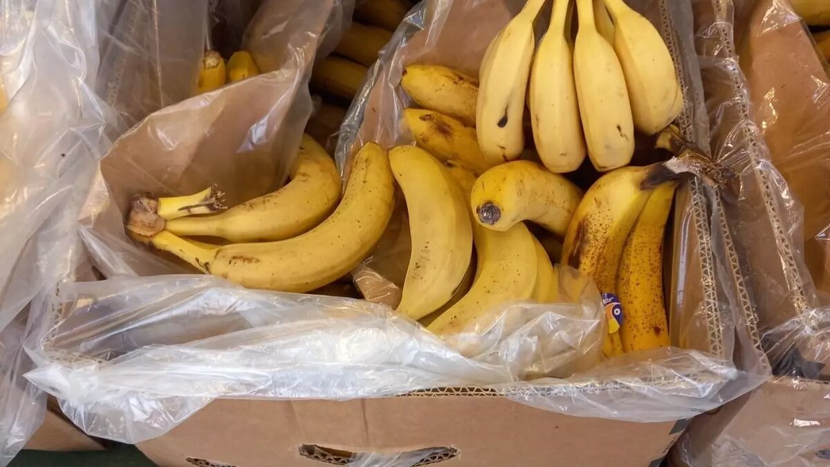     Источник: newstracker.ru