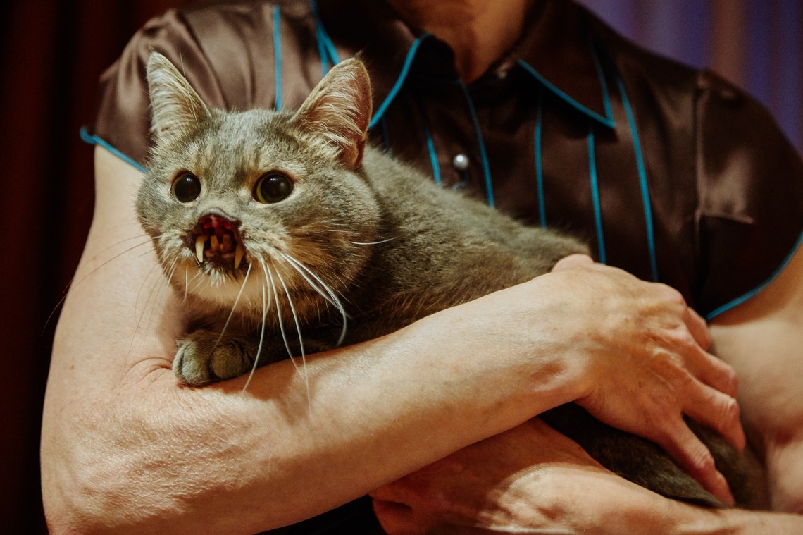 Фото: Маша Заневская / Фонд Ройзмана