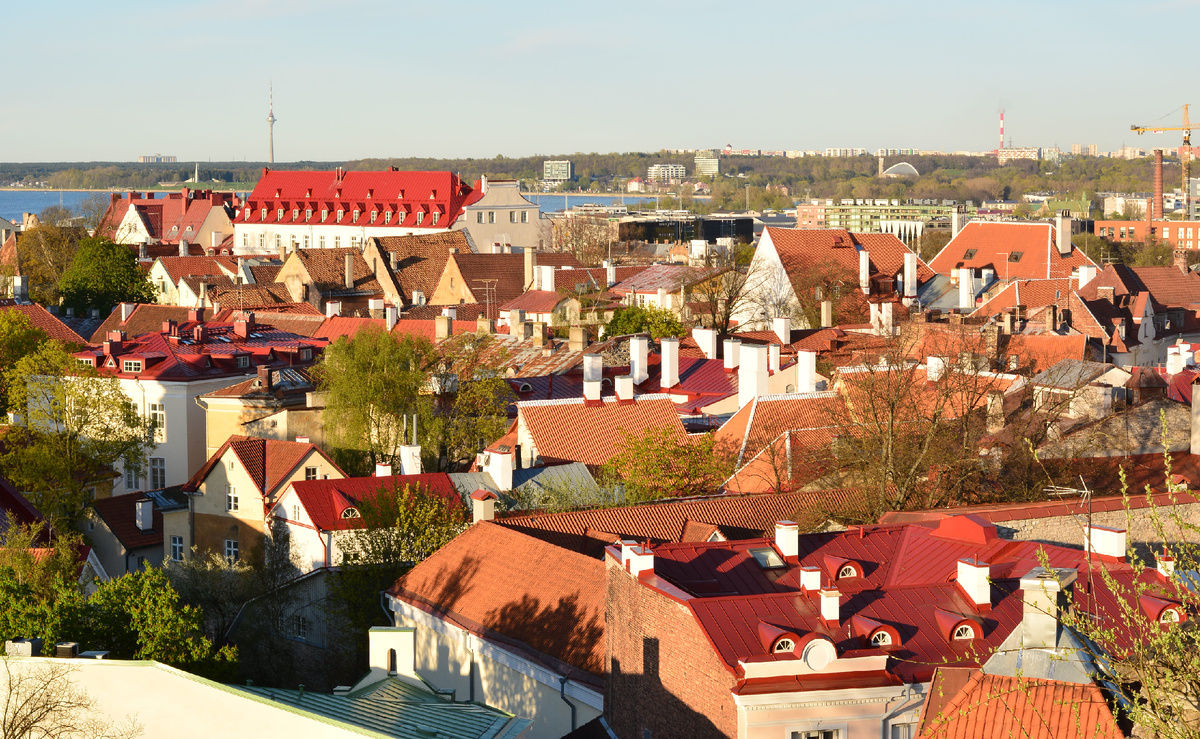 База Prian (Анастасия Фалей)