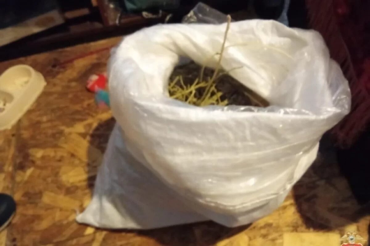    Житель Тверской области хранил дома растительный наркотик