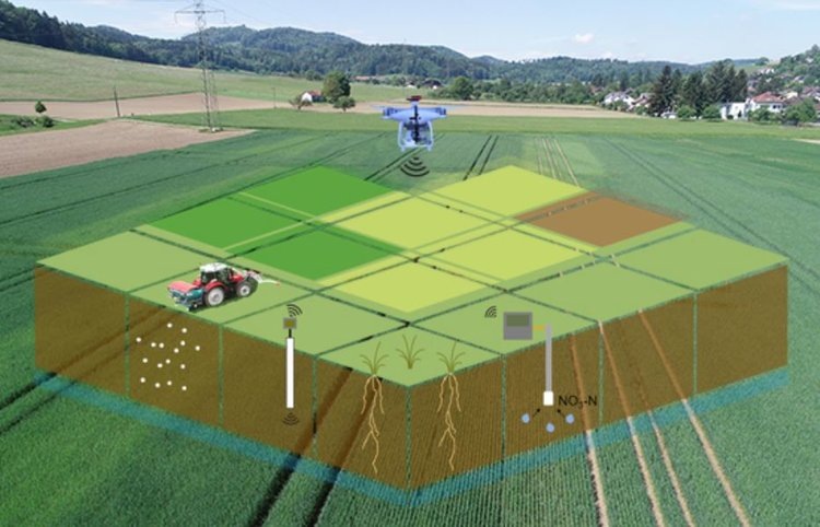     Что дает внесение азотных удобрений на озимую пшеницу в зависимости от участка
