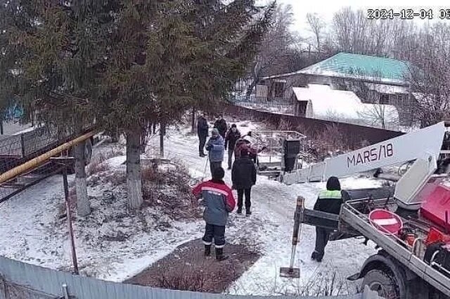    Правда ли, что в Уфе на Новый год установили незаконно срубленную ель?