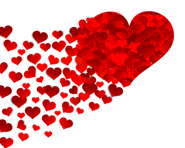 Сердце. Фото из открытых источников.