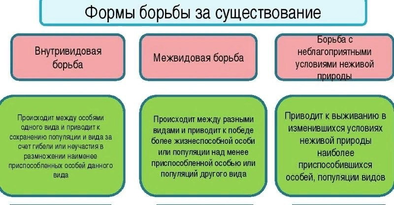 Схема взята из открытых источников